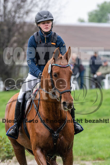 Goldene Schärpe 2020 - Pferde