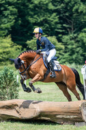 Goldene Schärpe 2021 - Ponys