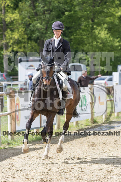 Sterne über Münster 2019 - CCI***S