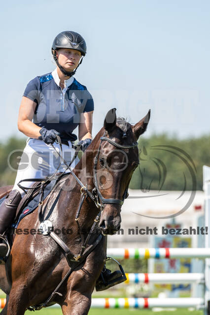 Kronenberg - De Peelbergen (August 2020)