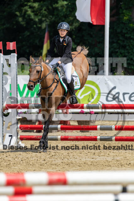 Goldene Schärpe 2021 - Ponys
