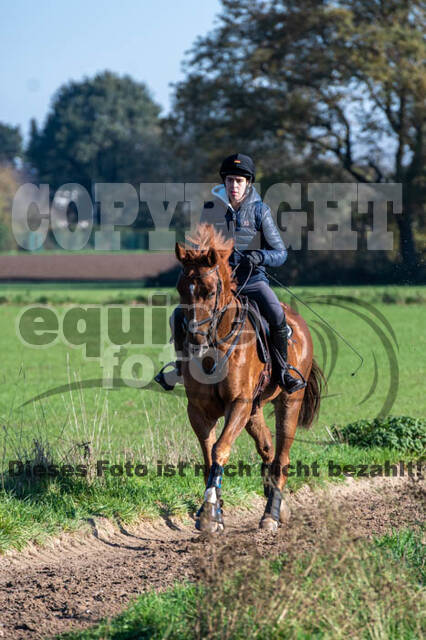 Vielseitigkeitslehrgang mit Jürg Kurbel (9.+10.11.2019)