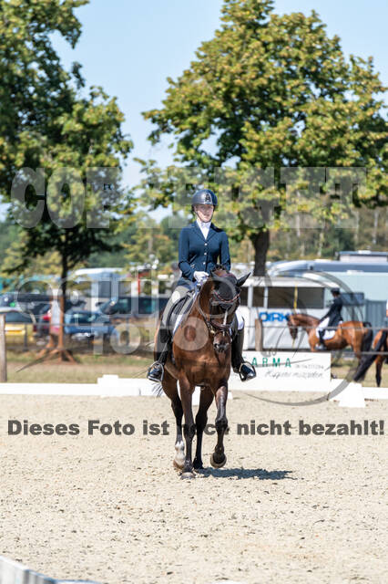 Kronenberg - De Peelbergen (August 2020)