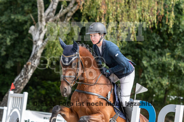 Late-Entry-Vielseitigkeit Langenfeld (06.+07.07.2020)