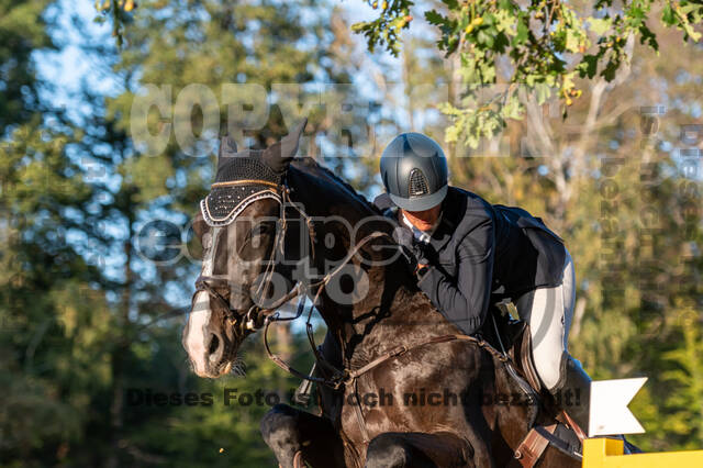 RFV Dinslaken-Hiesfeld (Herbstturnier)