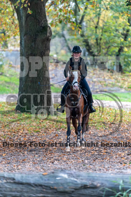 IGV Lehrgang der Sieger der Cups mit Frank Ostholt