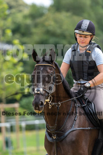 Hunter Geländetraining 10.07.2021 (Sonsbeck)
