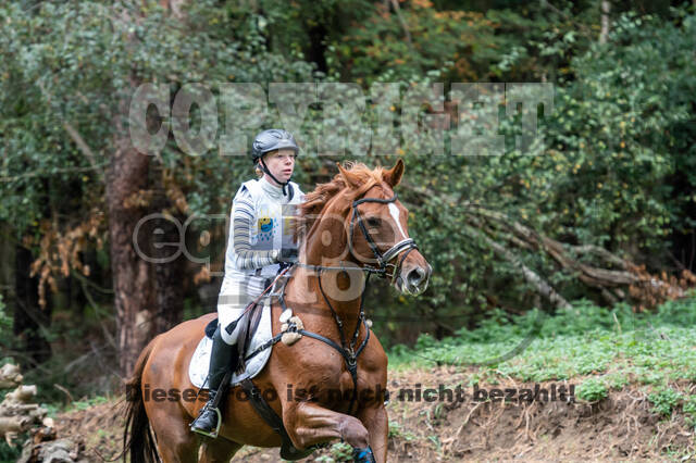 Vielseitigkeit RSV Wesel Obrighoven (26.+27.09.2020)