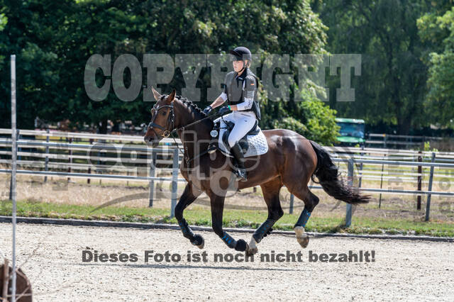 Late-Entry-Vielseitigkeit Langenfeld (11.+13./14.06.2020)