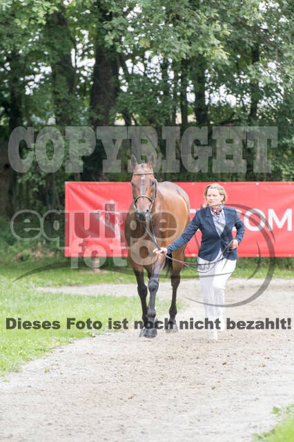 FEI European Championship Eventing 2017