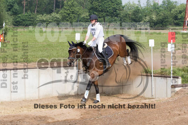 Vielseitigkeitsturnier ZRFV von Lützow Hamminkeln