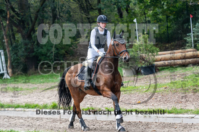 Goldene Schärpe 2020 - Pferde