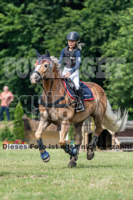 Goldene Schärpe 2021 - Ponys