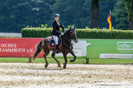 Goldene Schärpe 2021 - Ponys