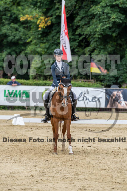 Goldene Schärpe 2021 - Ponys