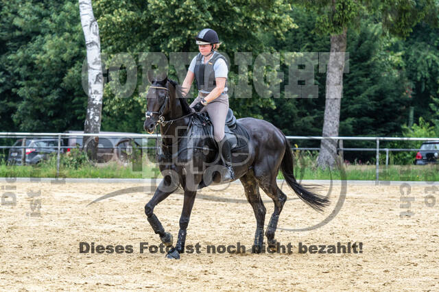 Hunter Geländetraining 10.07.2021 (Sonsbeck)