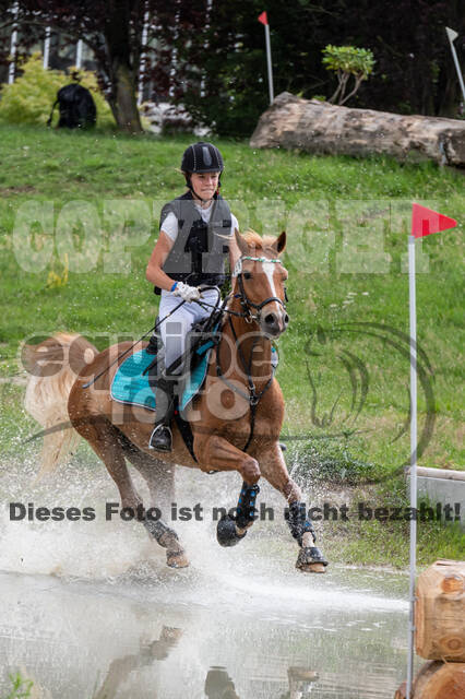 Late-Entry-Vielseitigkeit Langenfeld (06.+07.07.2020)