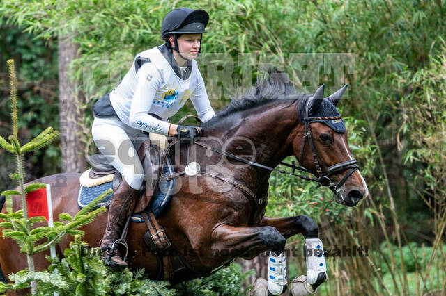 Vielseitigkeit RSV Wesel Obrighoven (26.+27.09.2020)