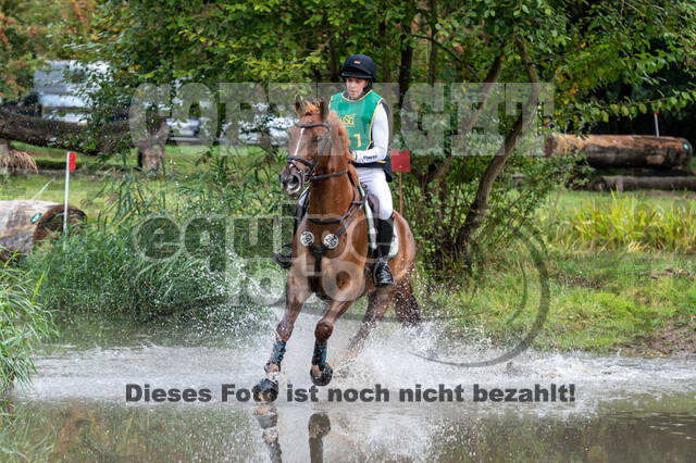 Vielseitigkeit RSV Wesel Obrighoven (26.+27.09.2020)