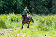 Westerstede Horse Trials (10.-13.06.2021)