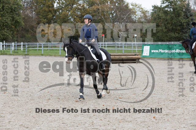 IGV Lehrgang der Sieger der Cups mit Frank Ostholt