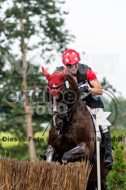De Peelbergen (August 2020)