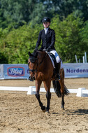 Westerstede Horse Trials 2021