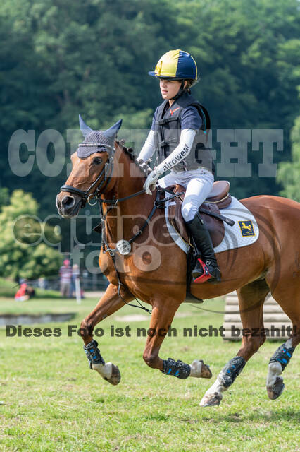 Goldene Schärpe 2021 - Ponys