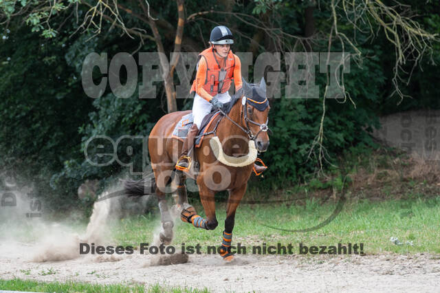 Late-Entry-Vielseitigkeit Langenfeld (11.+13./14.06.2020)