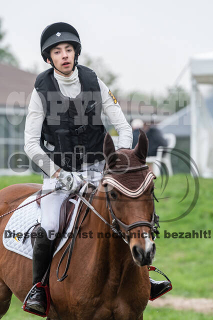 Goldene Schärpe 2020 - Pferde