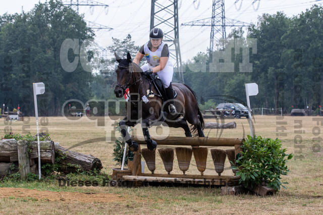 Late-Entry Vielseitigkeit Hamminkeln/Wesel (01.+02.08.2020)