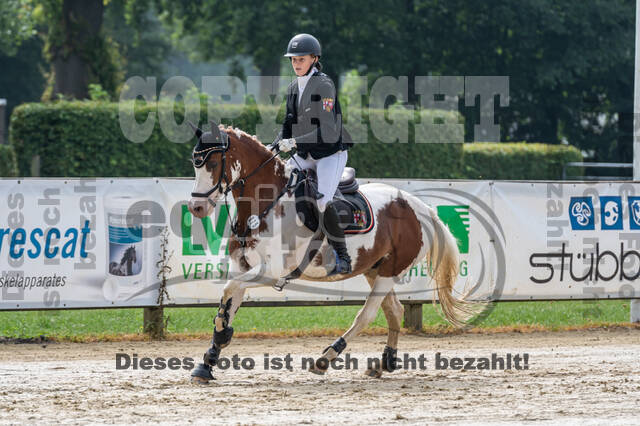 Goldene Schärpe 2021 - Ponys