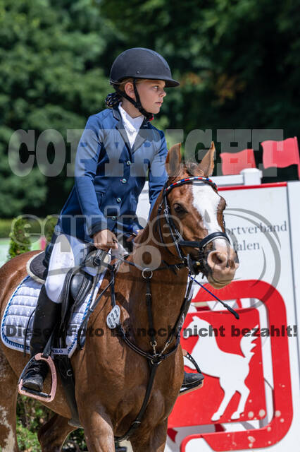 Goldene Schärpe 2021 - Ponys