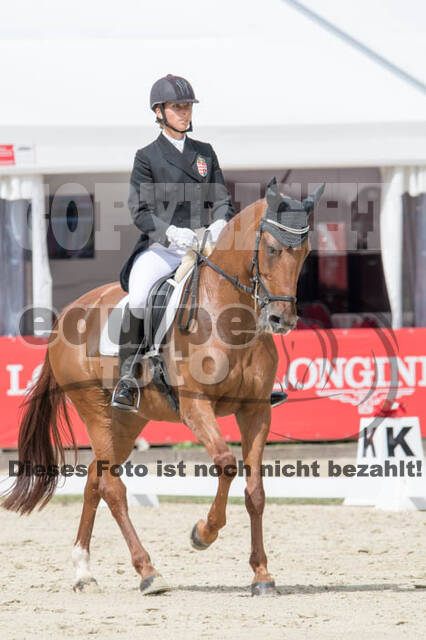 FEI European Championship Eventing 2017