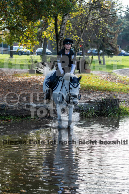 IGV Lehrgang der Sieger der Cups mit Frank Ostholt