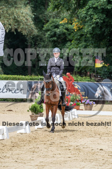 Goldene Schärpe 2021 - Ponys