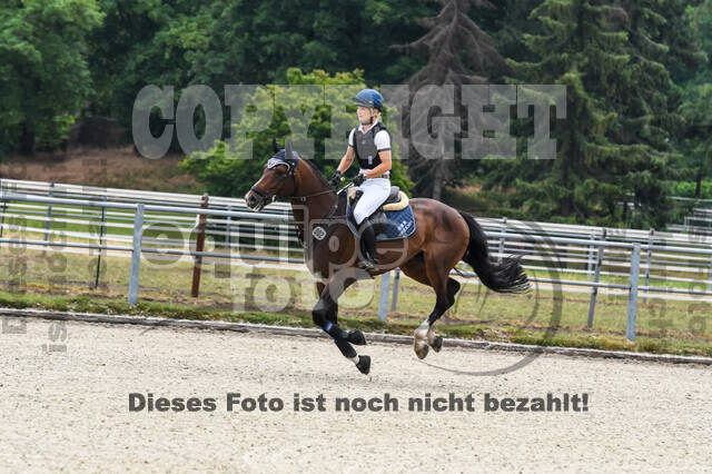 Late-Entry-Vielseitigkeit Langenfeld (11.+13./14.06.2020)