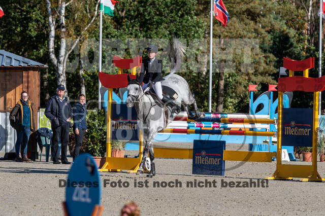 Deutsche Meisterschaft Vielseitigkeit (Luhmühlen)