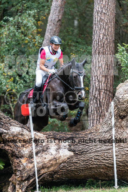 Vielseitigkeit RSV Wesel Obrighoven (26.+27.09.2020)