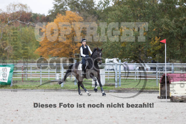 IGV Lehrgang der Sieger der Cups mit Frank Ostholt
