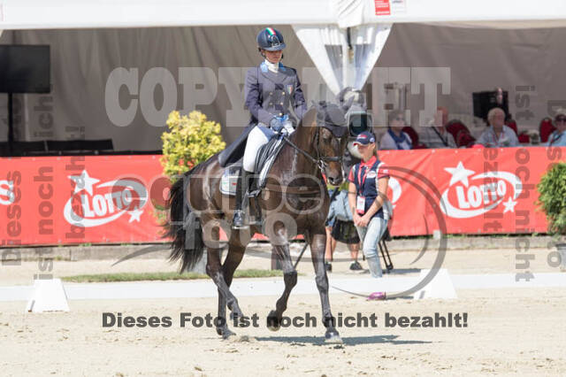 FEI European Championship
