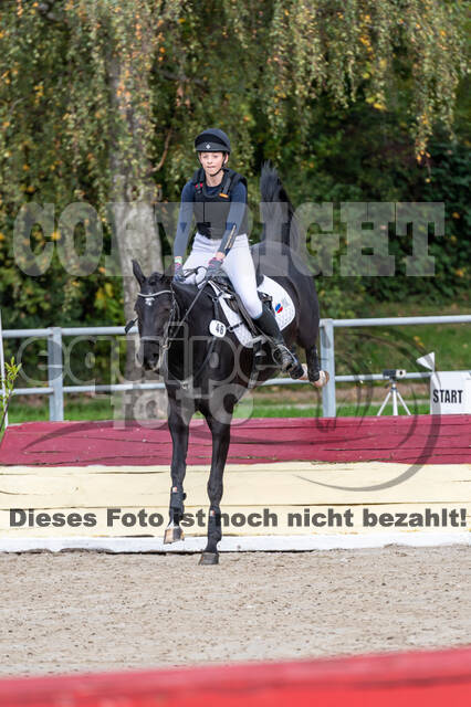 Reiter Schleswig-Holstein