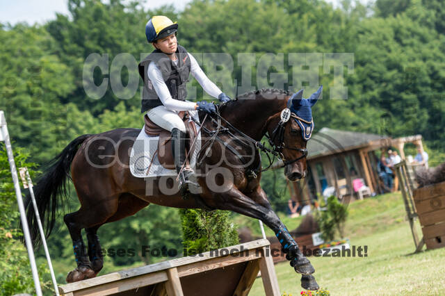 Goldene Schärpe 2021 - Ponys