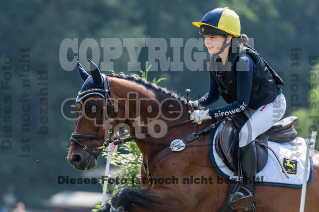 Goldene Schärpe 2021 - Ponys