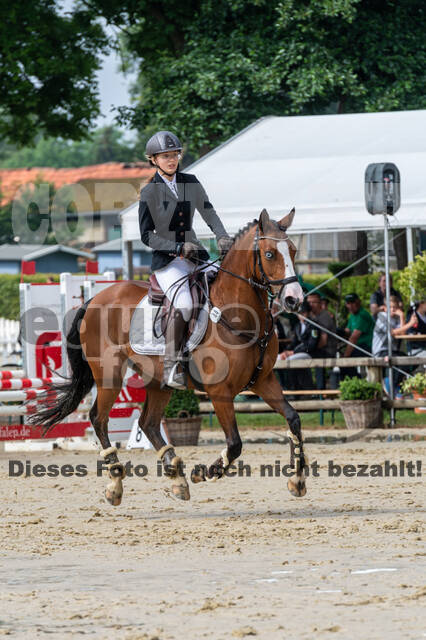 Goldene Schärpe 2021 - Ponys