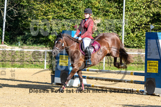 RFV Dinslaken-Hiesfeld (Herbstturnier)