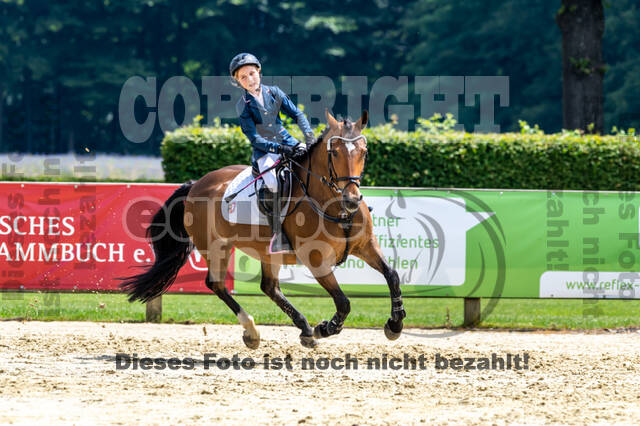 Goldene Schärpe 2021 - Ponys