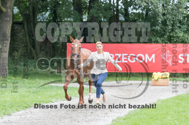 FEI European Championship Eventing 2017