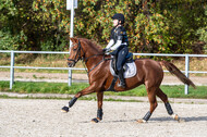 IGV Lehrgang der Sieger der Cups mit Frank Ostholt