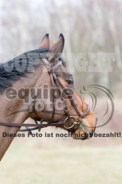 Geländetraining RSV St. Hubertus Wesel Obrighoven